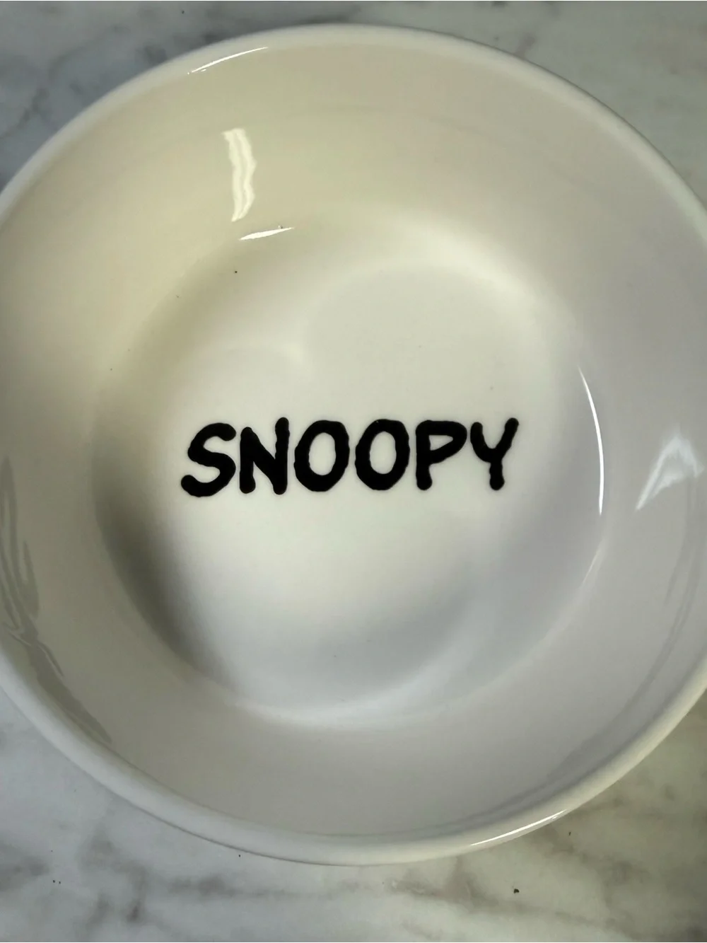 Peanuts Suppertime Pet Bowl | Snoopy Stoneware Dog Bowl Cat Dish Food